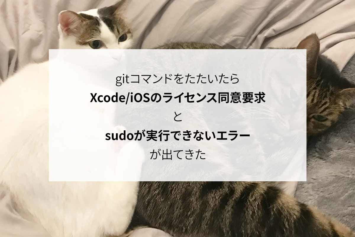 【解決済】gitコマンド実行でXcode/iOSのライセンス同意要求とsudoが実行できないエラーが出てきた